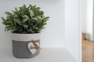 Castelfidardo Apartment