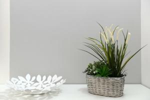 Castelfidardo Apartment