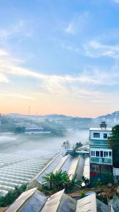 Phòng Superior Gia Đình (Superior Family Room)