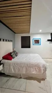 Imola - Exclusive suite in Guadalupe Inn - HiveNB - 墨西哥城