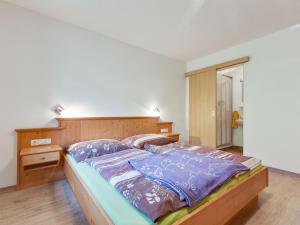 Apartment in Mittersill near Kitzbühel Ski Area
