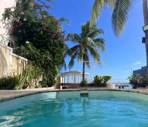 Albion Beachfront Villa - Pointe aux Sable