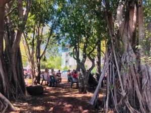 Tropical Oasis, saltwater pool In the heart of Parap Orange