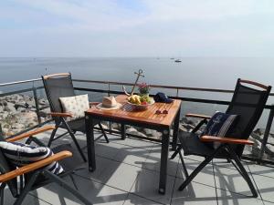 Sea eagle in the Molenhuus