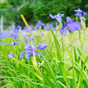 なな光 一軒家貸切古民家 仲間と家族と周りを気にせず楽しめる