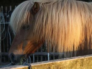 Deichhasenhof Comfortable holiday residence