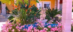 Iris apartment near Corfu town - 康托卡利