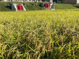 なな光 一軒家貸切古民家 仲間と家族と周りを気にせず楽しめる