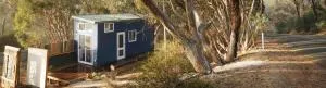Blue Orchid Tiny House - Snowtown