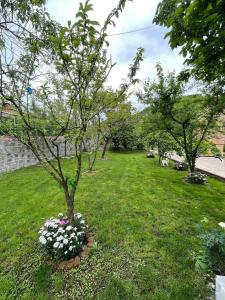 Vinland Villa Atalar