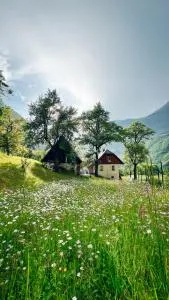 Apartments Mala Korita Soče - Blaž