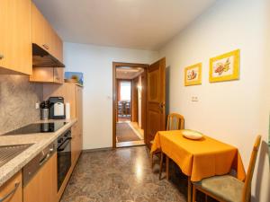 Apartment in Fügen near Spieljochbahn