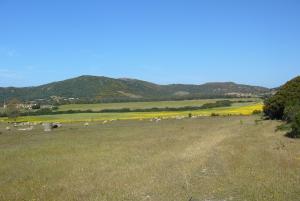 B&B Le Vele Teulada img18