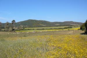 B&B Le Vele Teulada img14