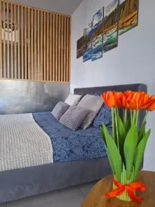 Apartament Górska Szarotka - Czarny Dunajec