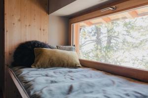 Chalets Chalet La Belle Etoile : photos des chambres