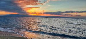 شاليه مكيف 90م بلو لاجون للعائلات فقط