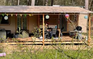 Beautiful tinyhouse sea dune and camping bakkum