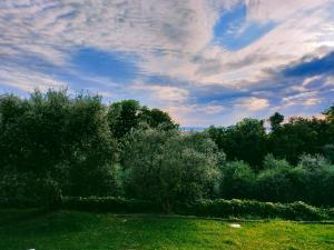 Appartamenti Hopfen Lazise