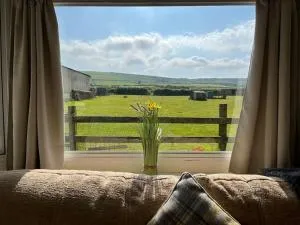 Chynoweth Caravan - Carleen