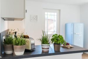Bornhaus für 7 Personen