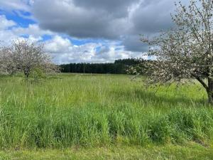 Gîte le village des champs