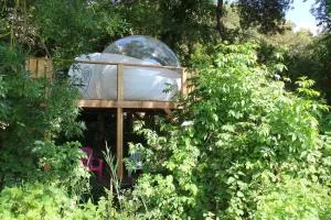 La bulle canopée - Navacelles