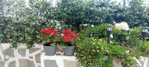 Sweet Maisonette in Corfu Town