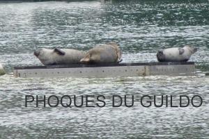 Maisons de vacances Gite chambre Matignon 2-4 pers 5 kms mer spa : photos des chambres