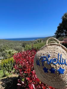 Villages vacances Residence U Pirellu : photos des chambres