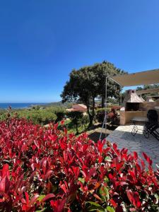 Villages vacances Residence U Pirellu : photos des chambres