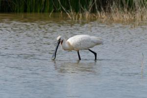 Appartements Mas d'yvan : photos des chambres