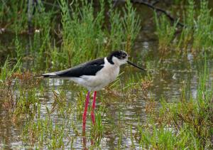 Appartements Mas d'yvan : Appartement 2 Chambres