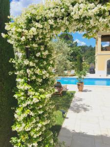 B&B / Chambres d'hotes Villa SULIS : photos des chambres