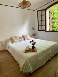 Auberges de jeunesse Yacumama Guesthouse : photos des chambres