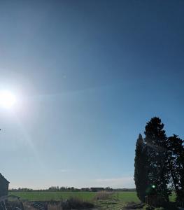 Appartements Mas d'yvan : photos des chambres