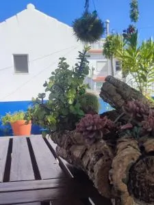 Casa Jasmine - Montes de Alvor - Figueira