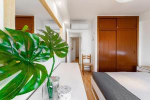 Apartment Edificio Miami