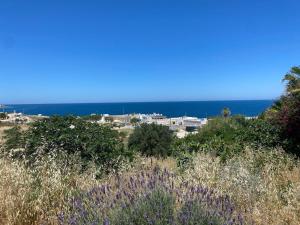 V12 Apartments Puglia Polignano a Mare