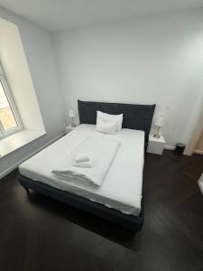 Luxurious Apartment in the Centre of Vienna