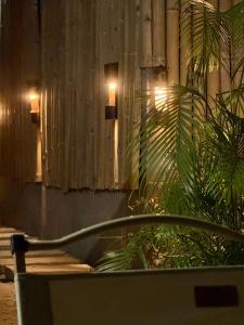 Monkey Business Siquijor