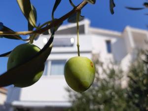 Apartments Villa Tanja