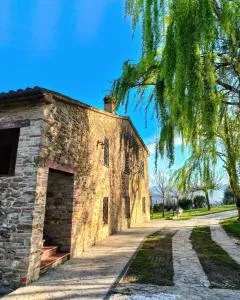 B&B Nel Vigneto - Castelplanio