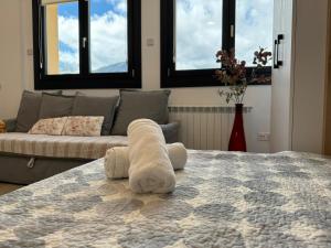 Apartamentos Montejurra