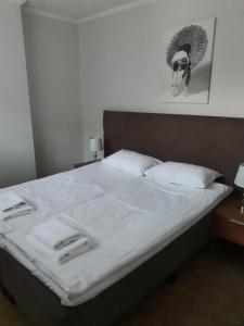 Standard Double or Twin Room room in Hotel Kolorowa