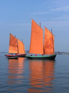 Sejours chez l'habitant 1 2 3 Chambres entre la Presqu ile de Rhuys et le Golfe du Morbihan : photos des chambres