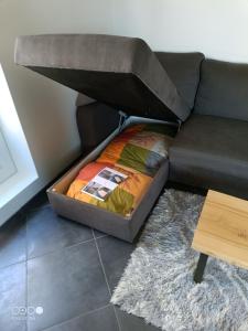 Appartements Logement au coeur de l'Auvergne : photos des chambres