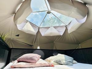 GlampingSantoczno