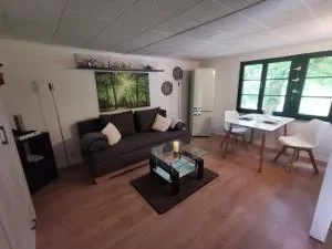 Apartment Dependance am Rursee - Heimbach