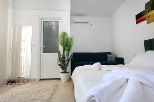 Berat Central Studio